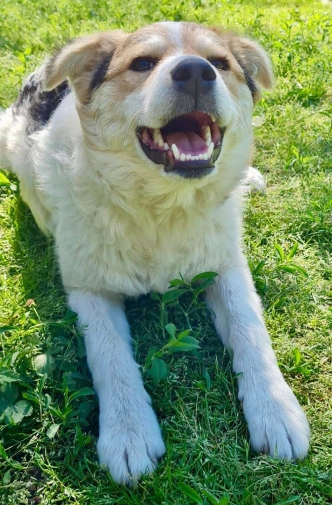 Max