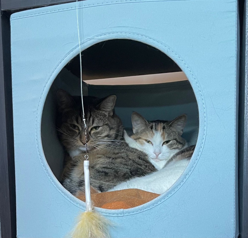 Juno & Minerva