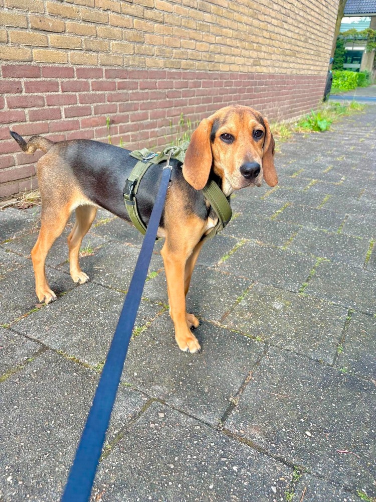 BUMI*katvriendelijk!