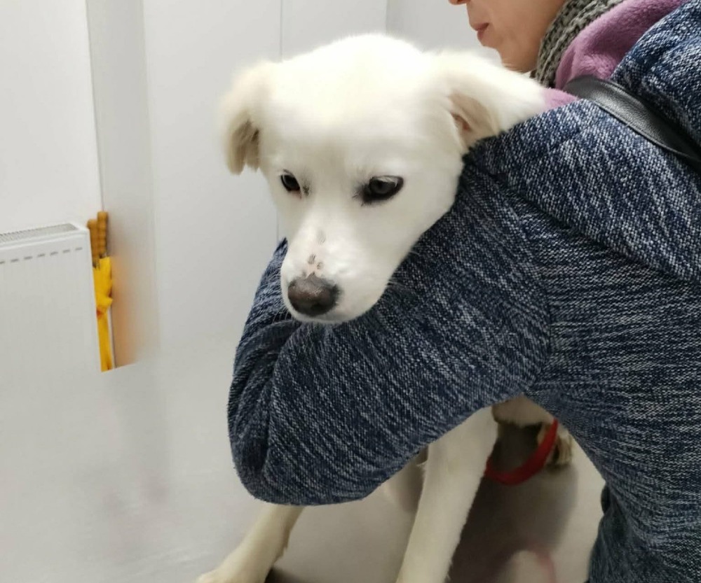 Elsa