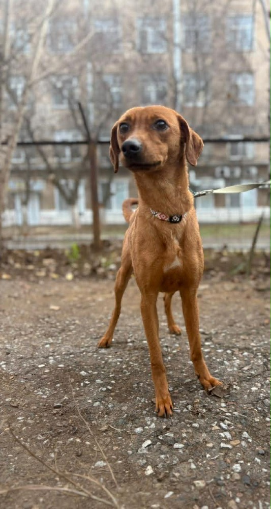Mikka 🍀