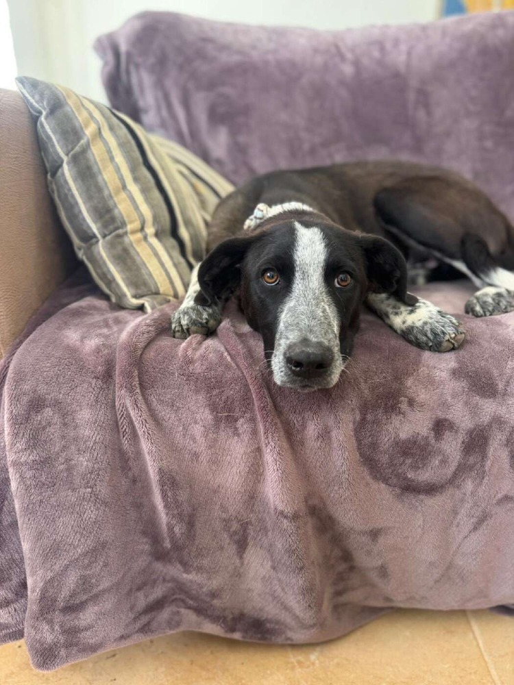 Ben