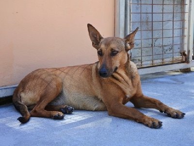 Carmen