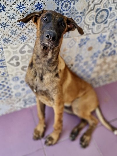 Max