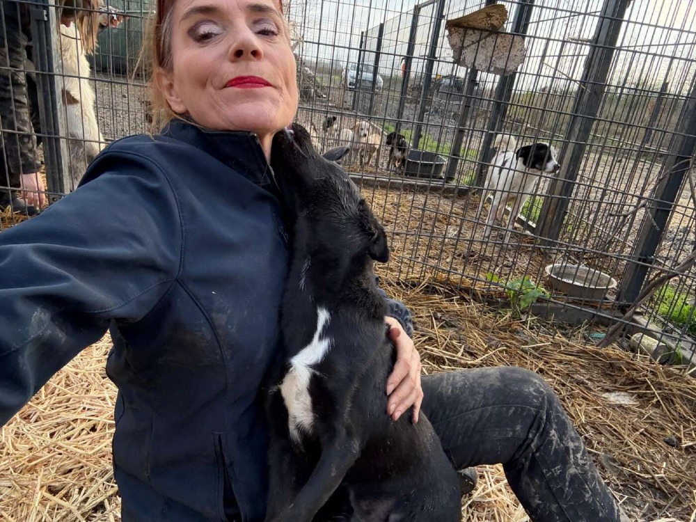 Okkie – Urgent!