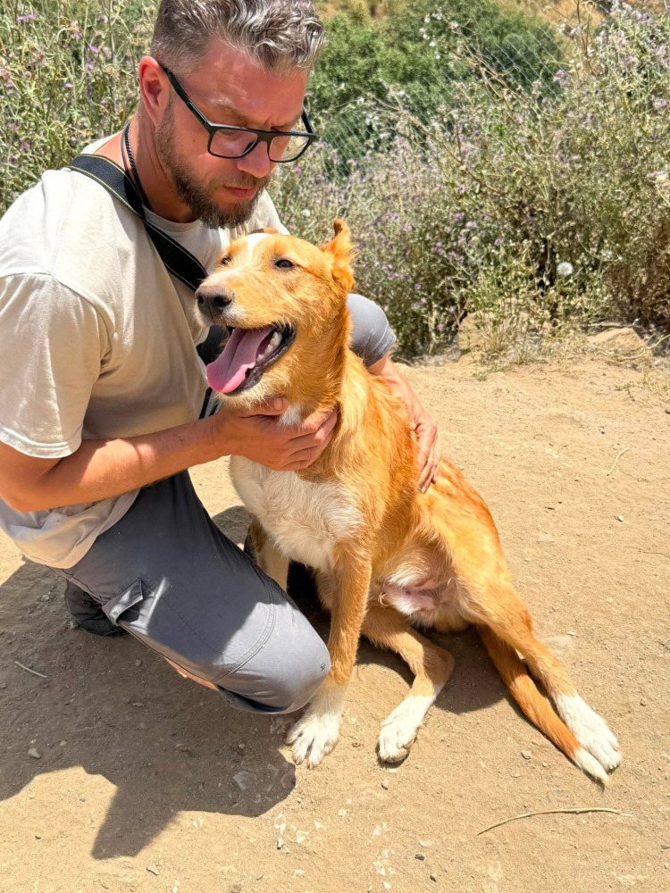 Simba ADR