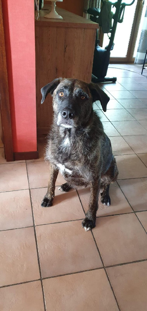 Bruce