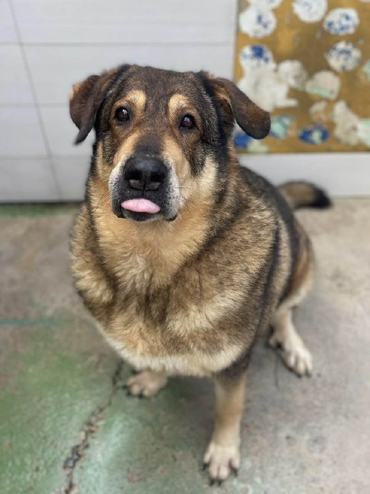 Chico