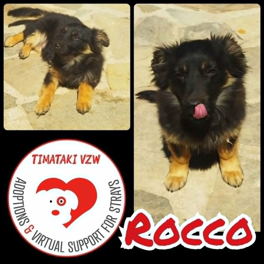 Rocco