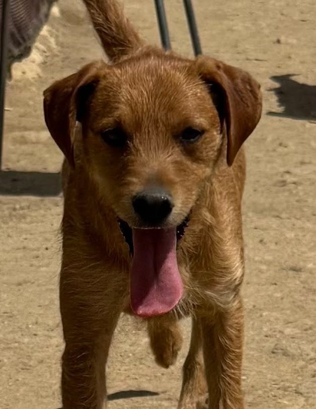 Murphy ADR