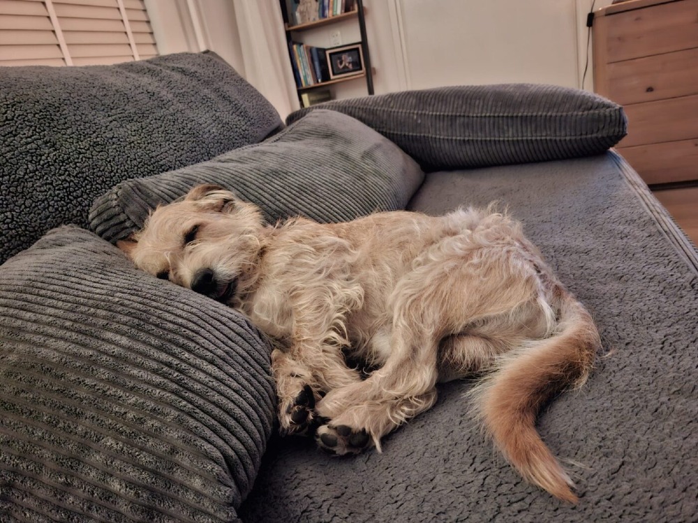 Max