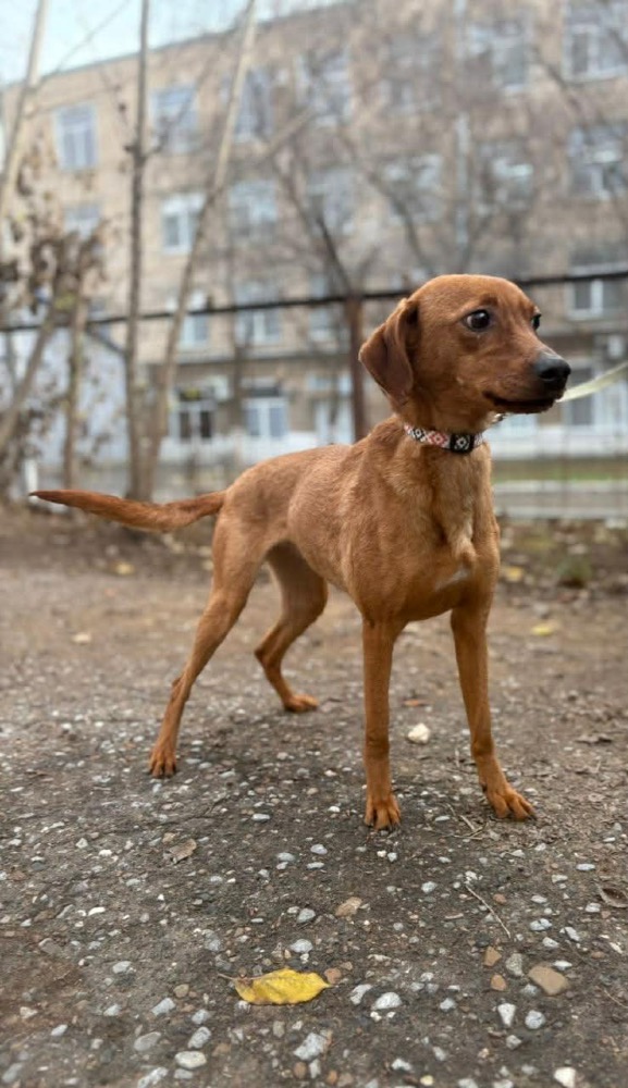 Mikka 🍀