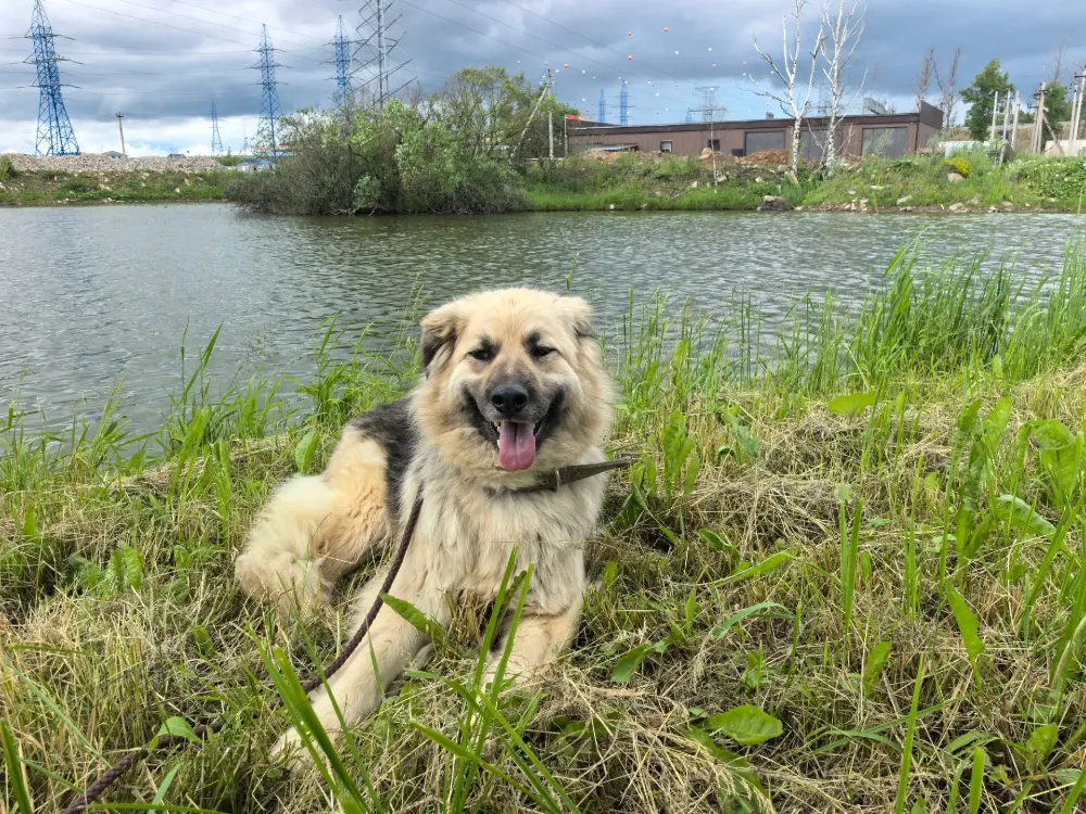 Bella