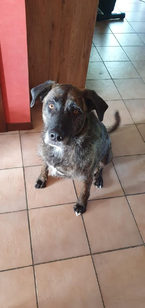 Bruce
