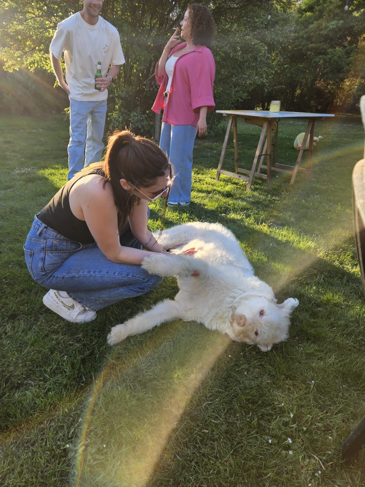 Copito