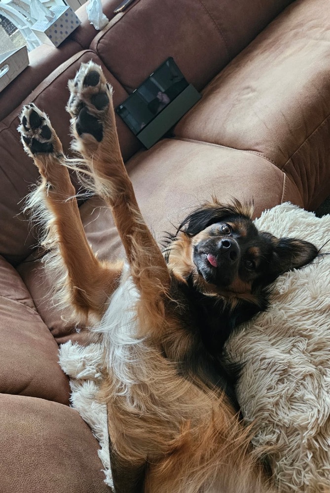 Pablo