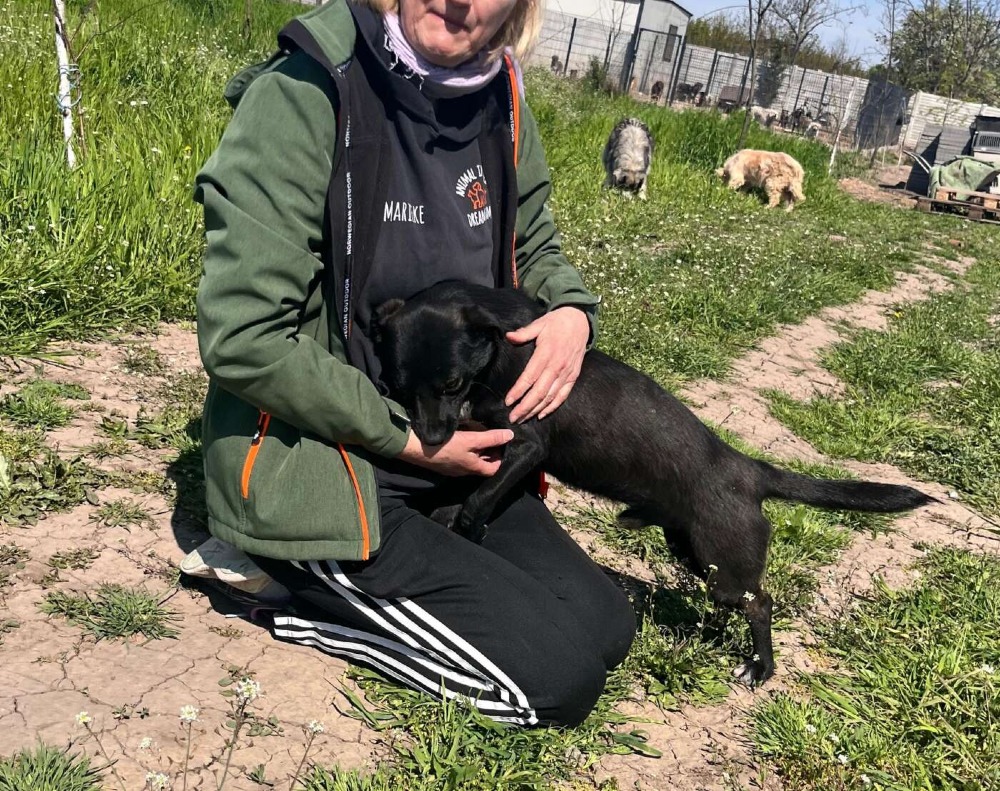 Okkie – Urgent!