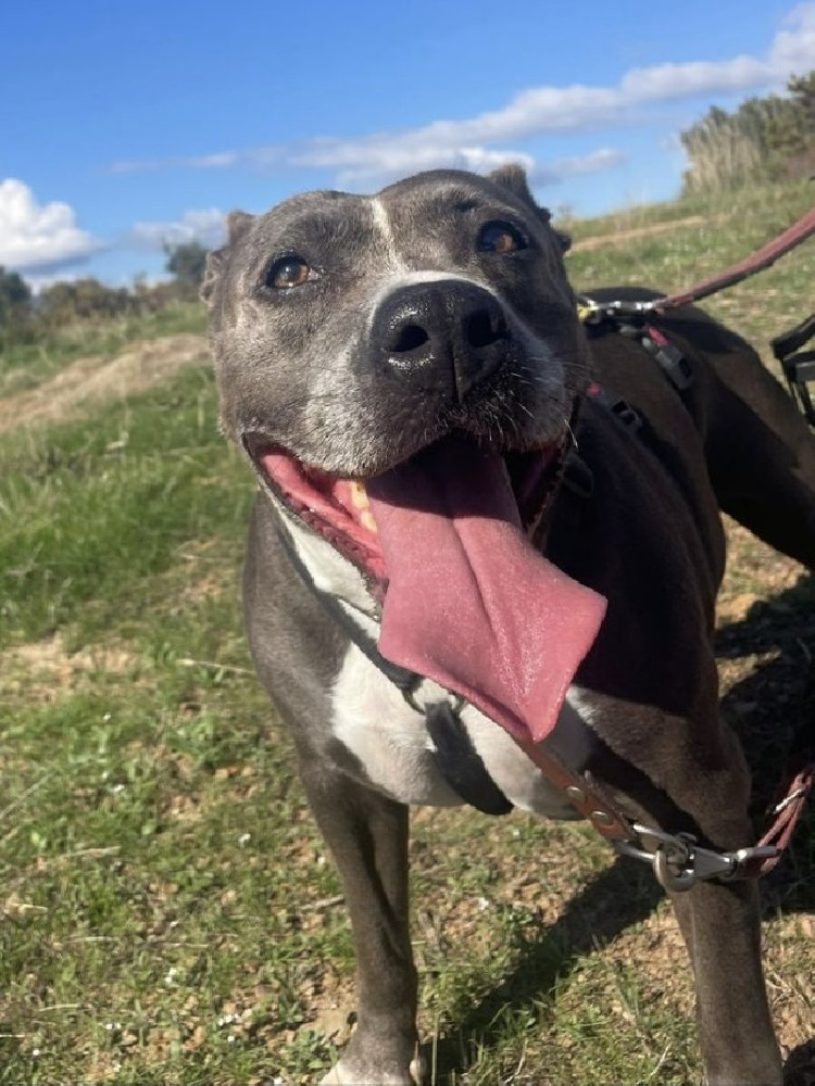 Bella