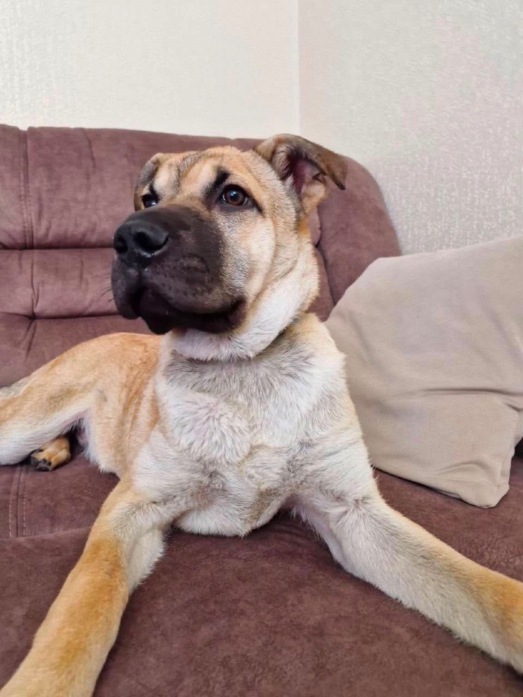 Bruno 😎