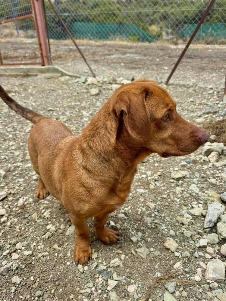MAVERICK