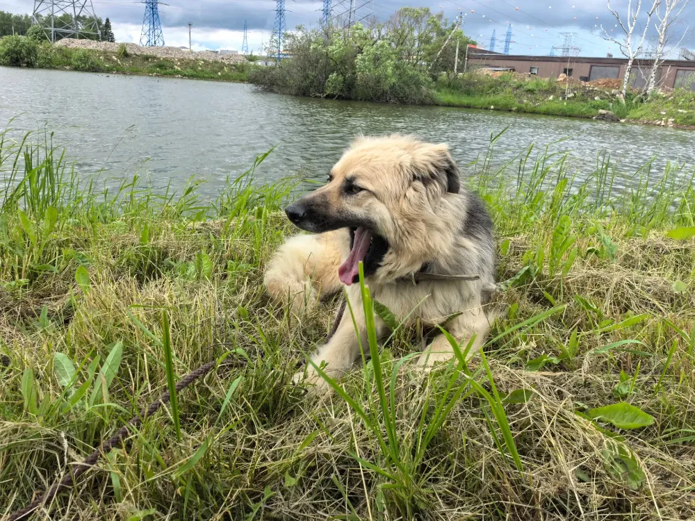Bella