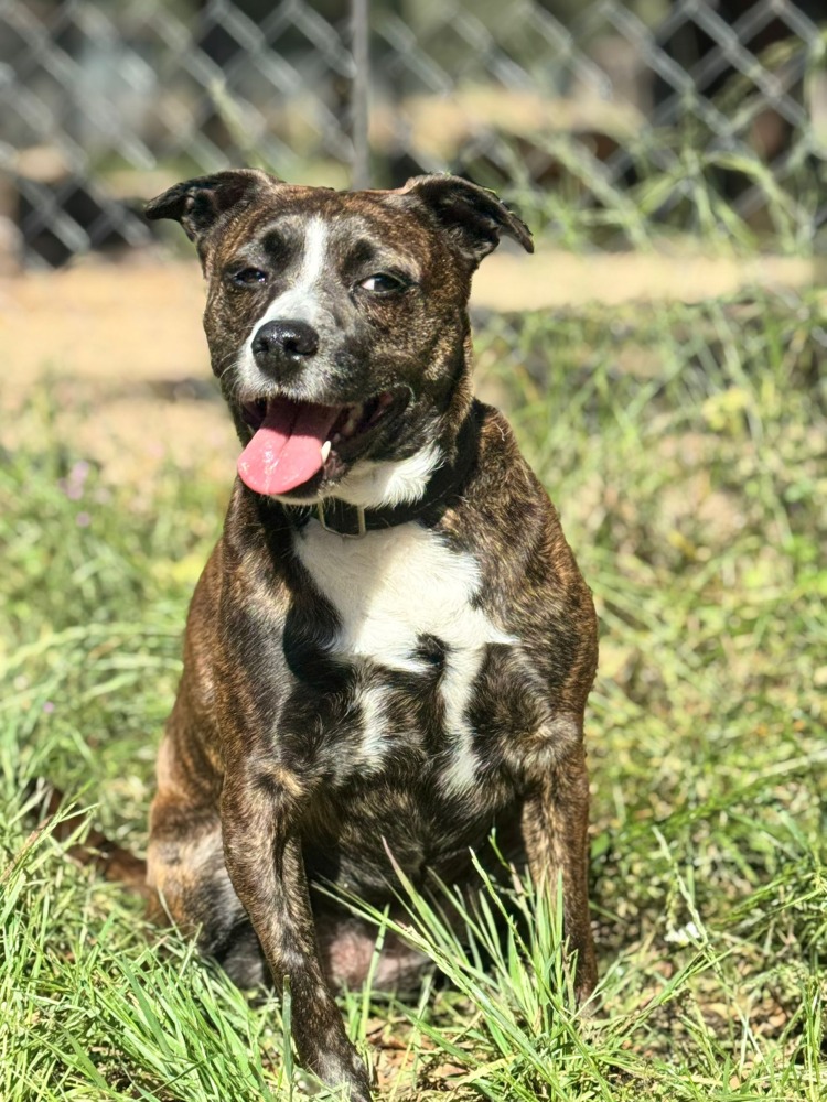 Bella