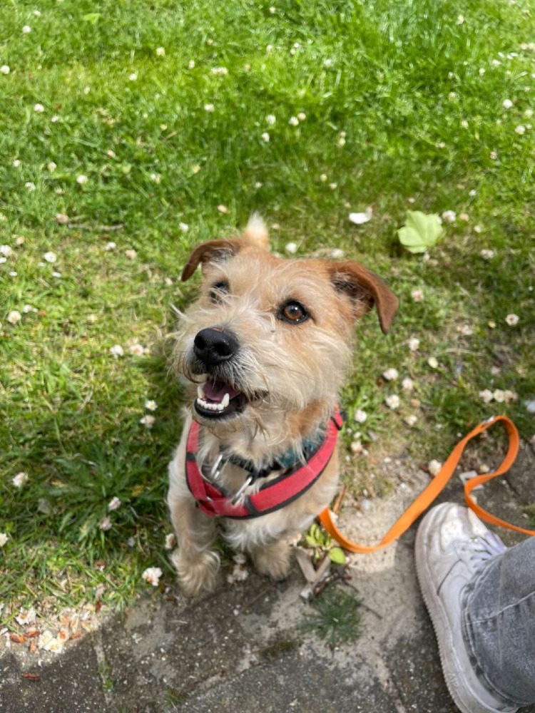 Max