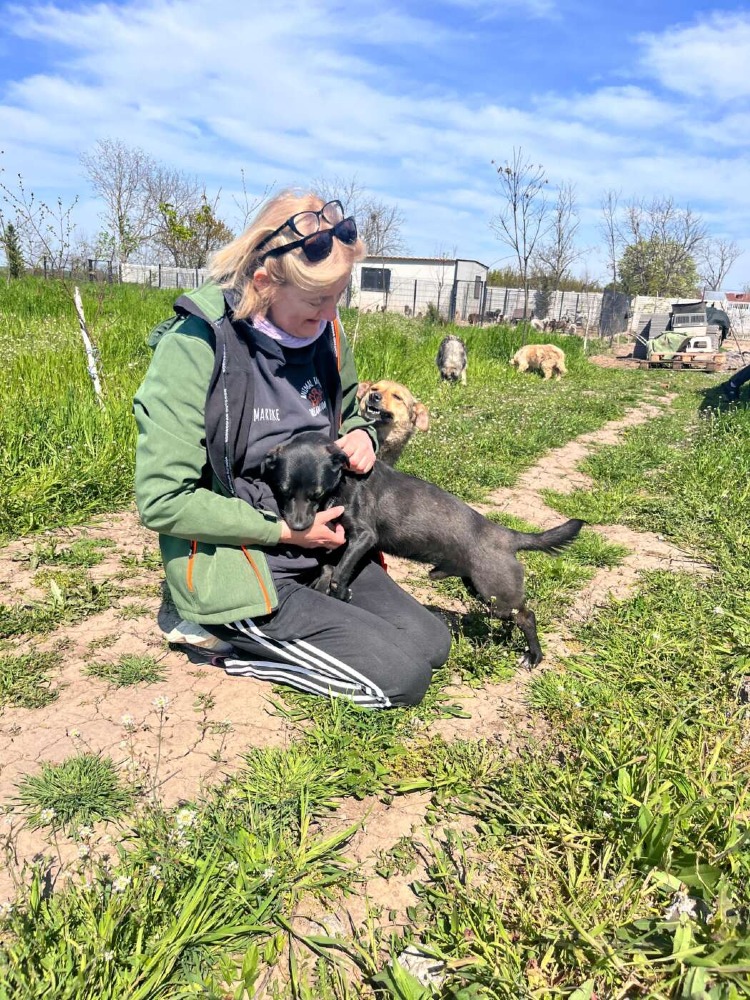 Okkie – Urgent!