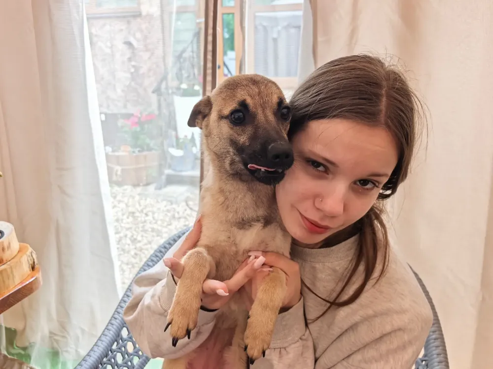 Leia