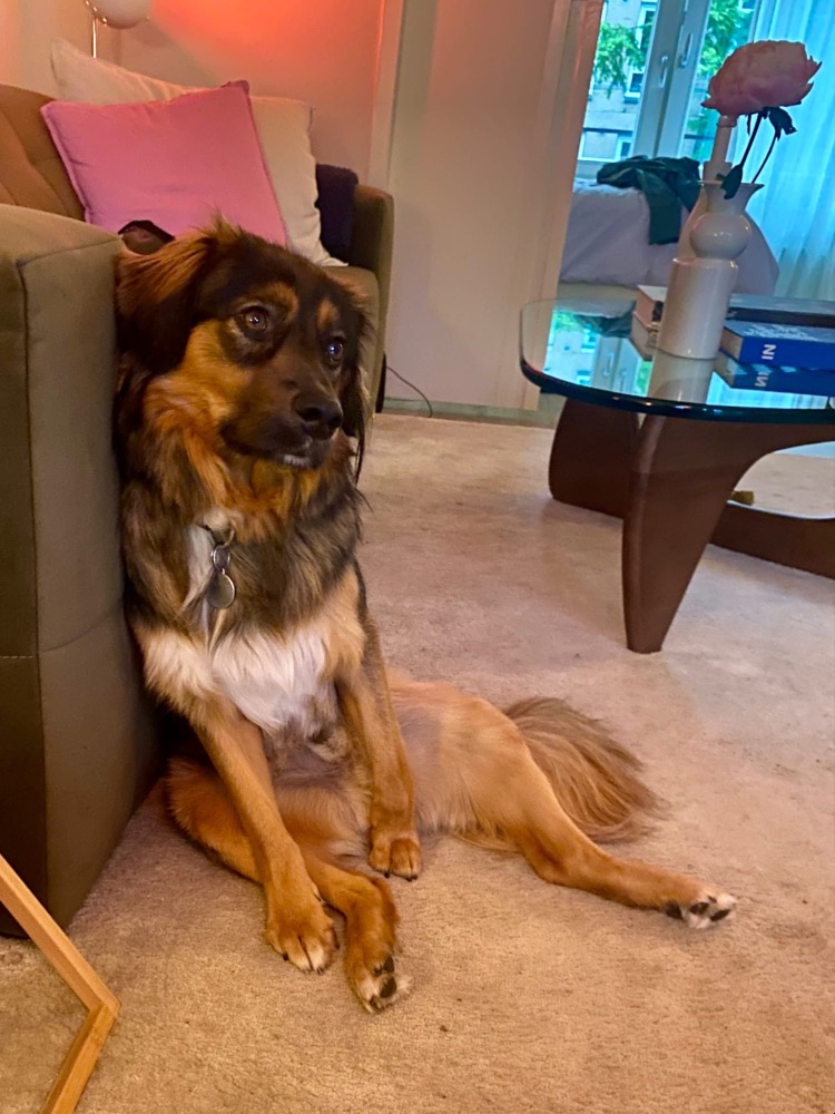 Pablo