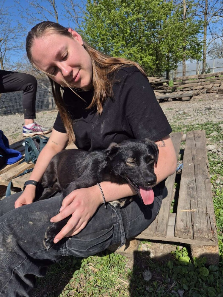 Okkie – Urgent!