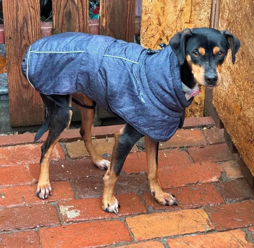 Max