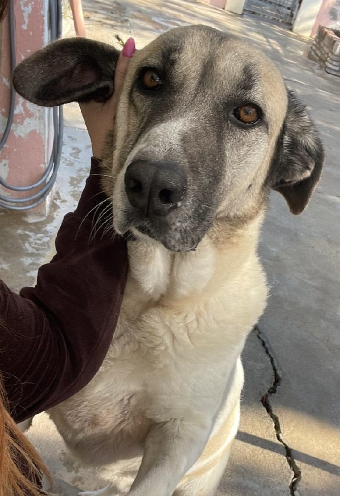 Evita