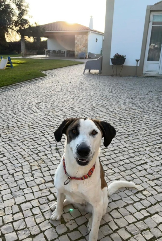 Sophie