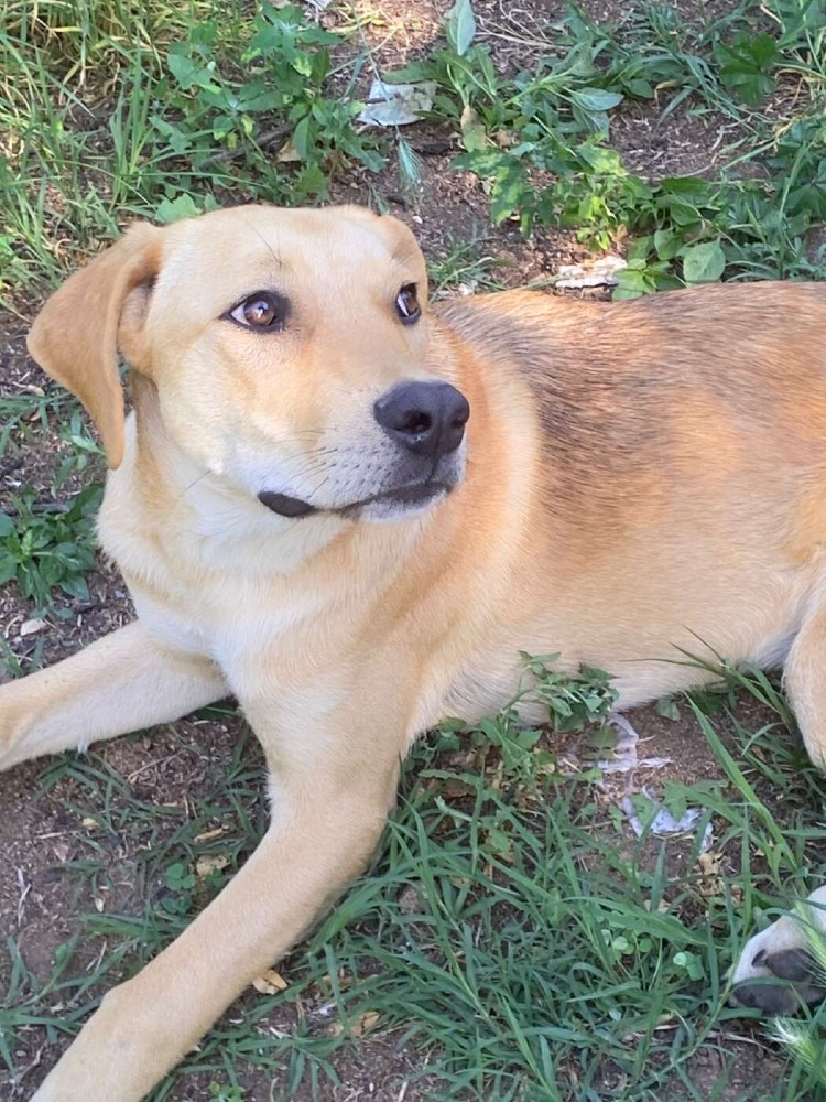 Roxy