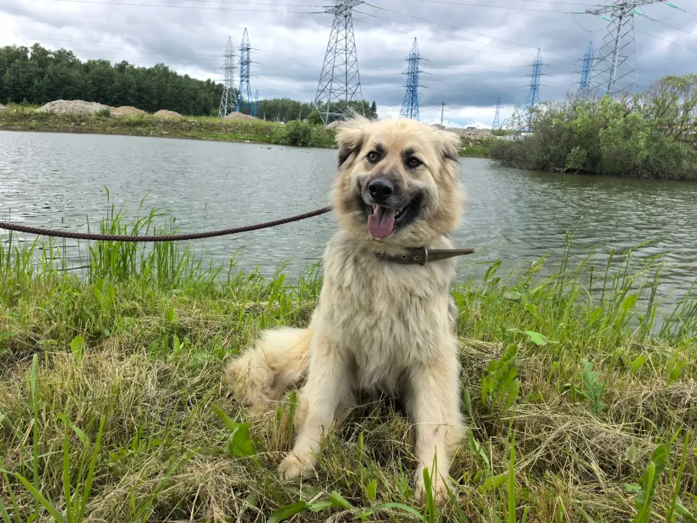 Bella