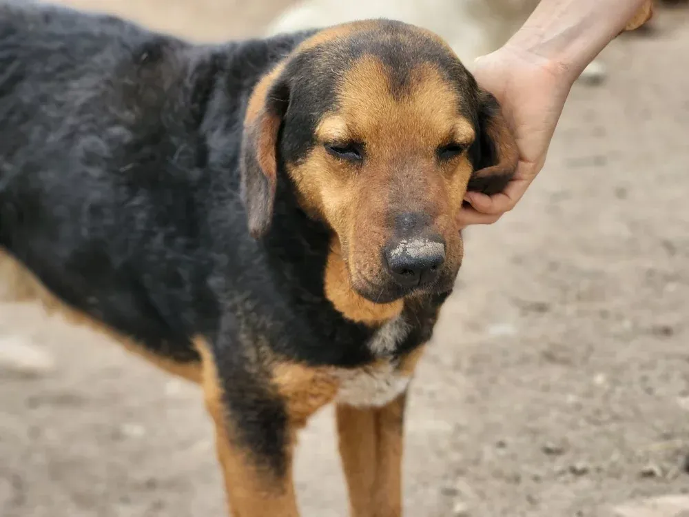 Brundo – te bezoeken!