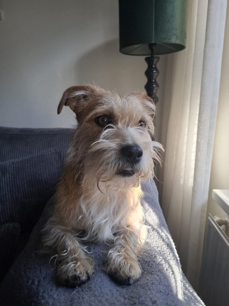 Max