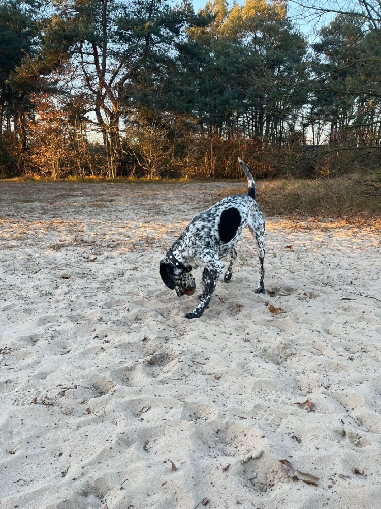 Kaya