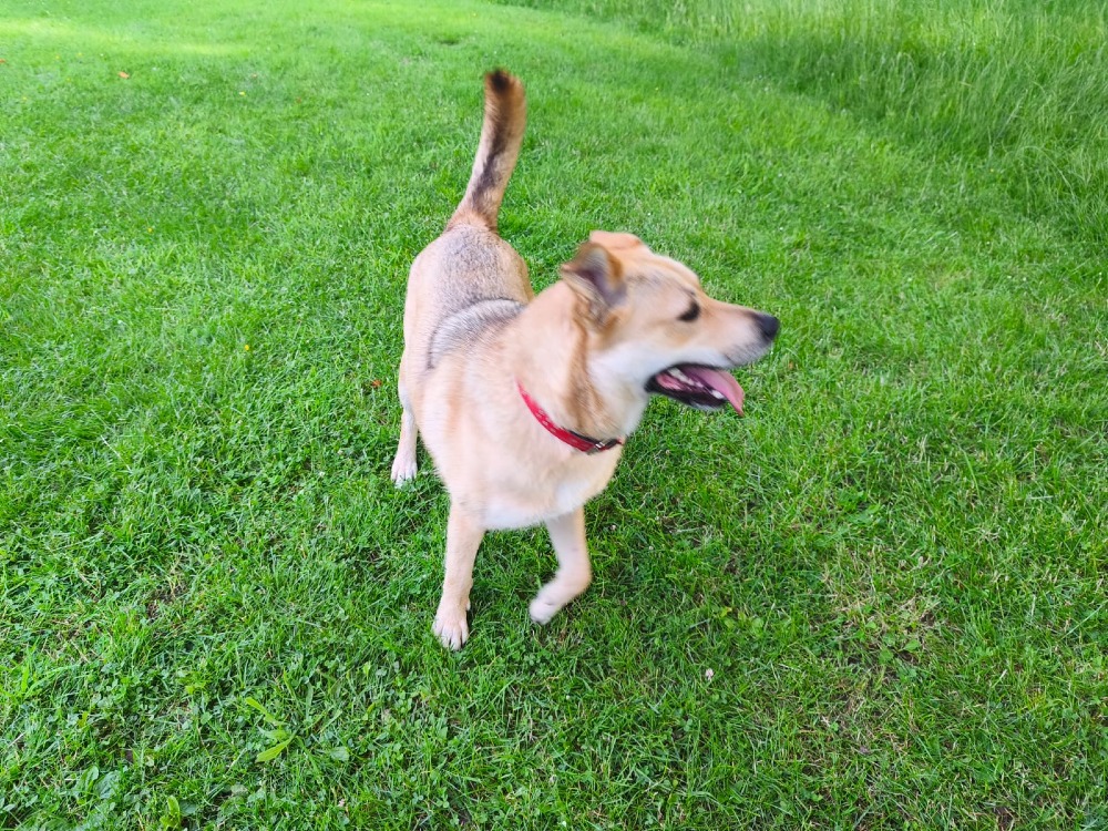 Nora