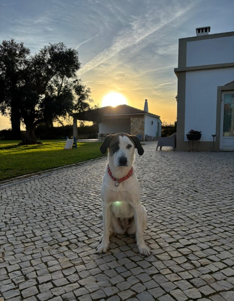 Sophie