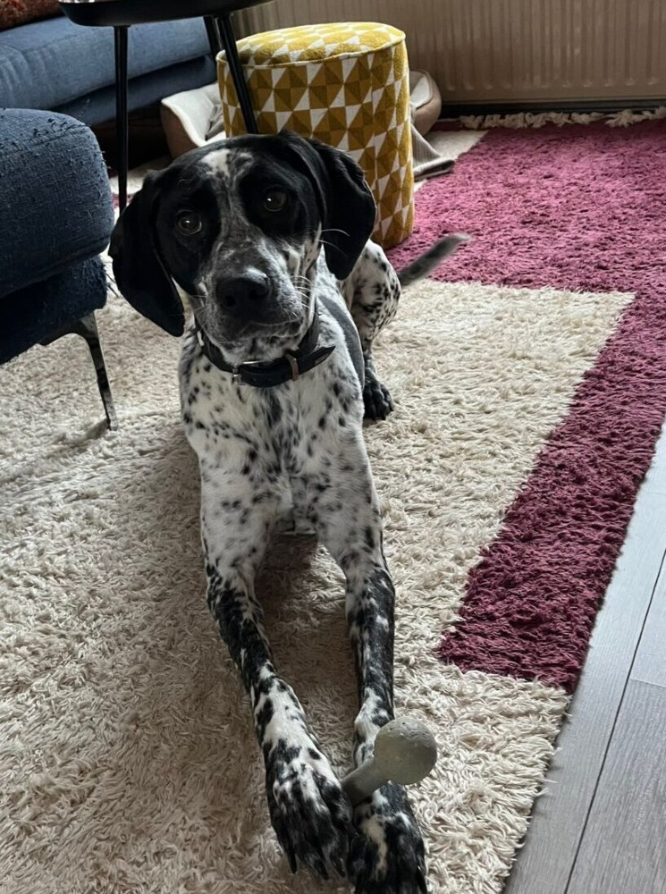Kaya