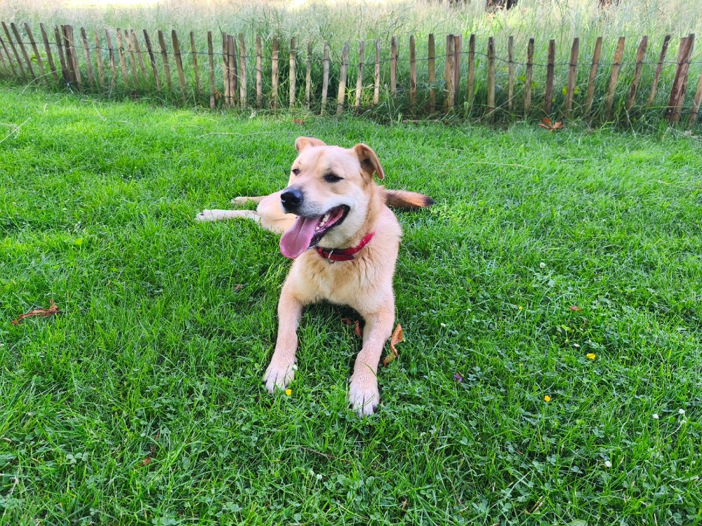 Nora