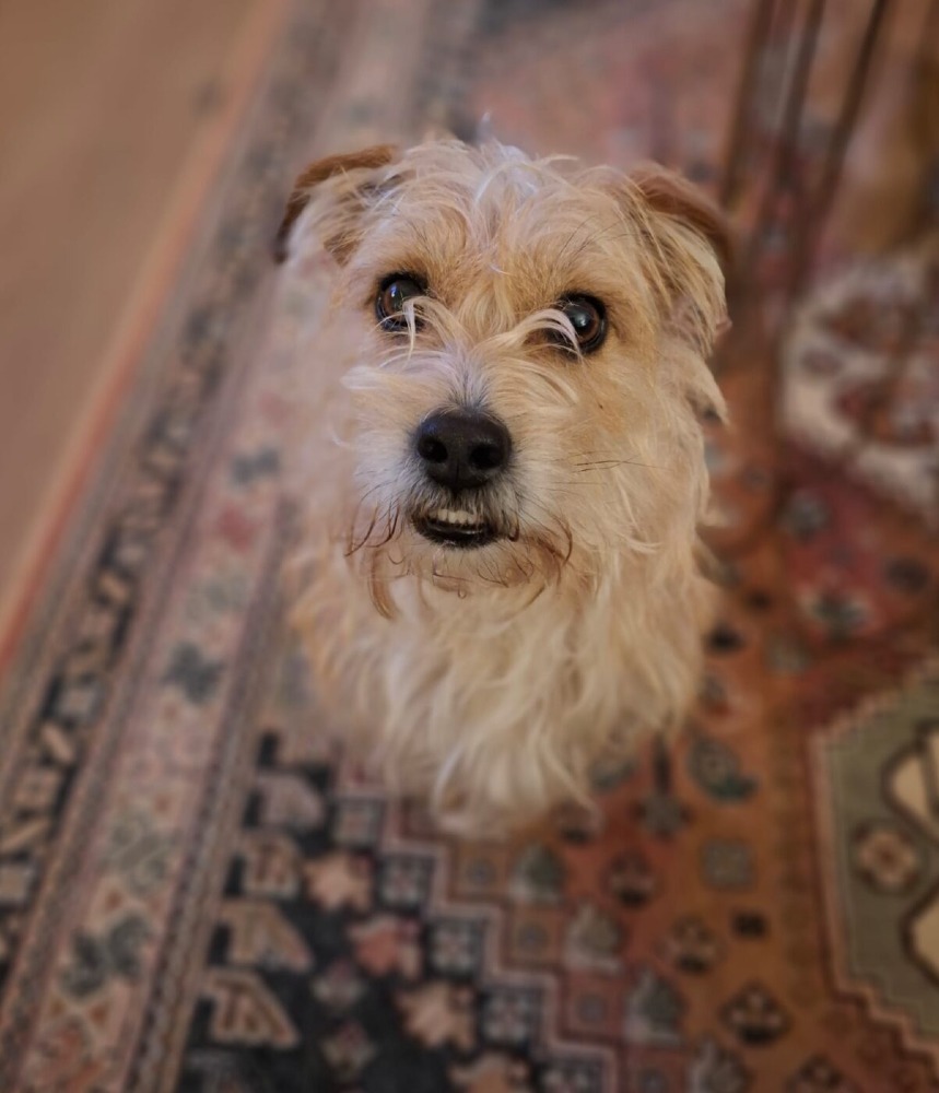 Max