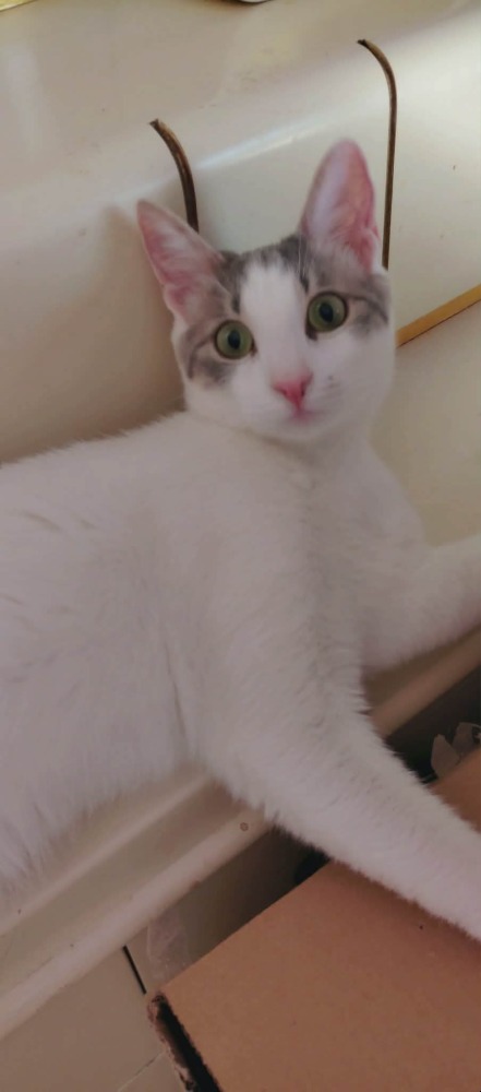 Milto & Mimi