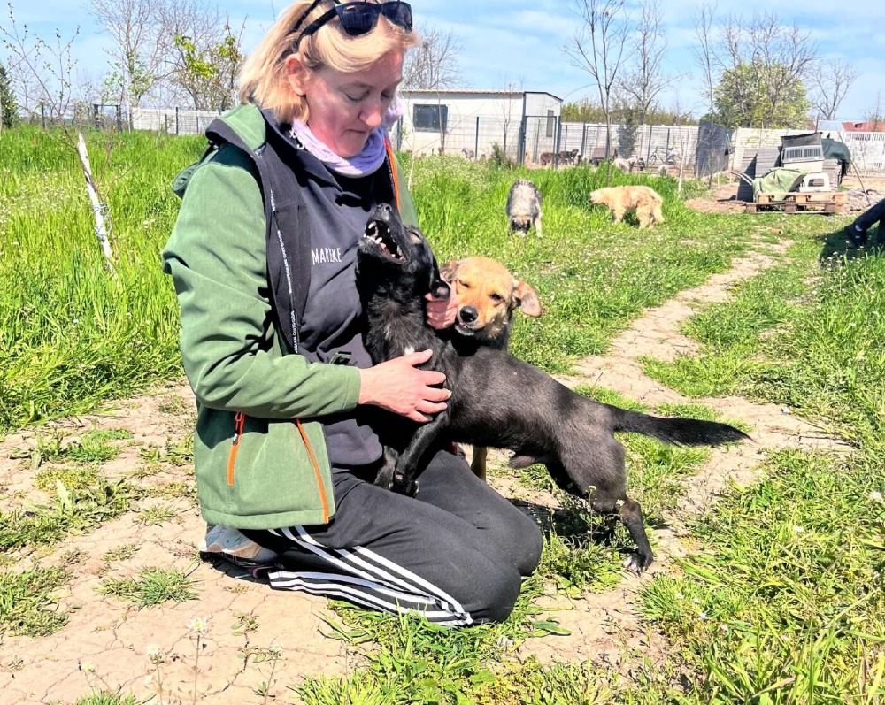 Okkie – Urgent!