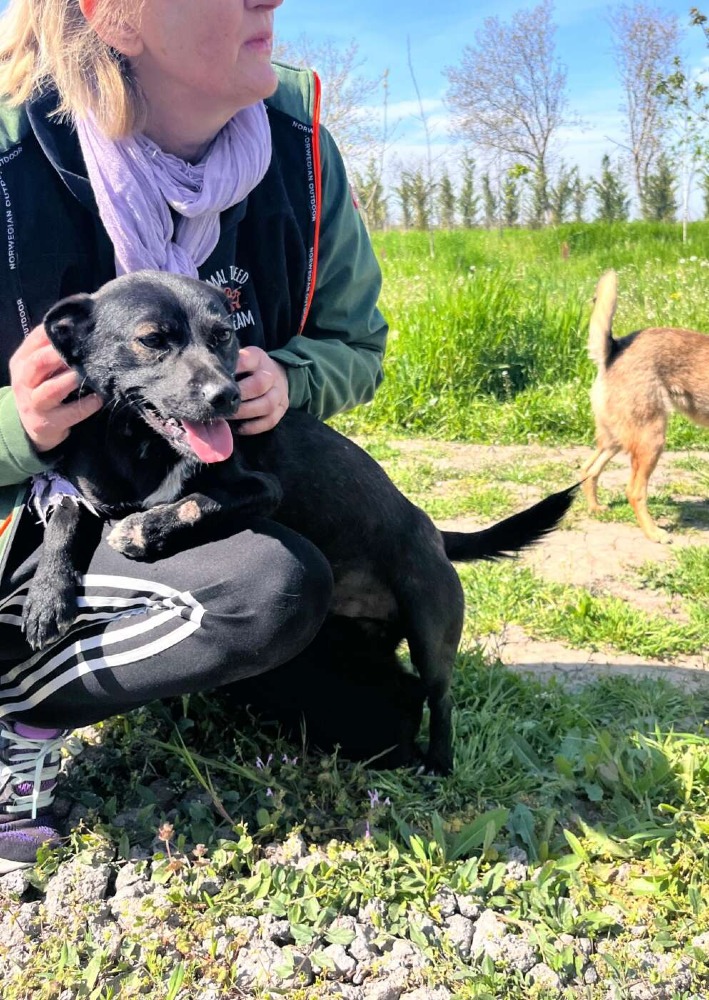 Okkie – Urgent!