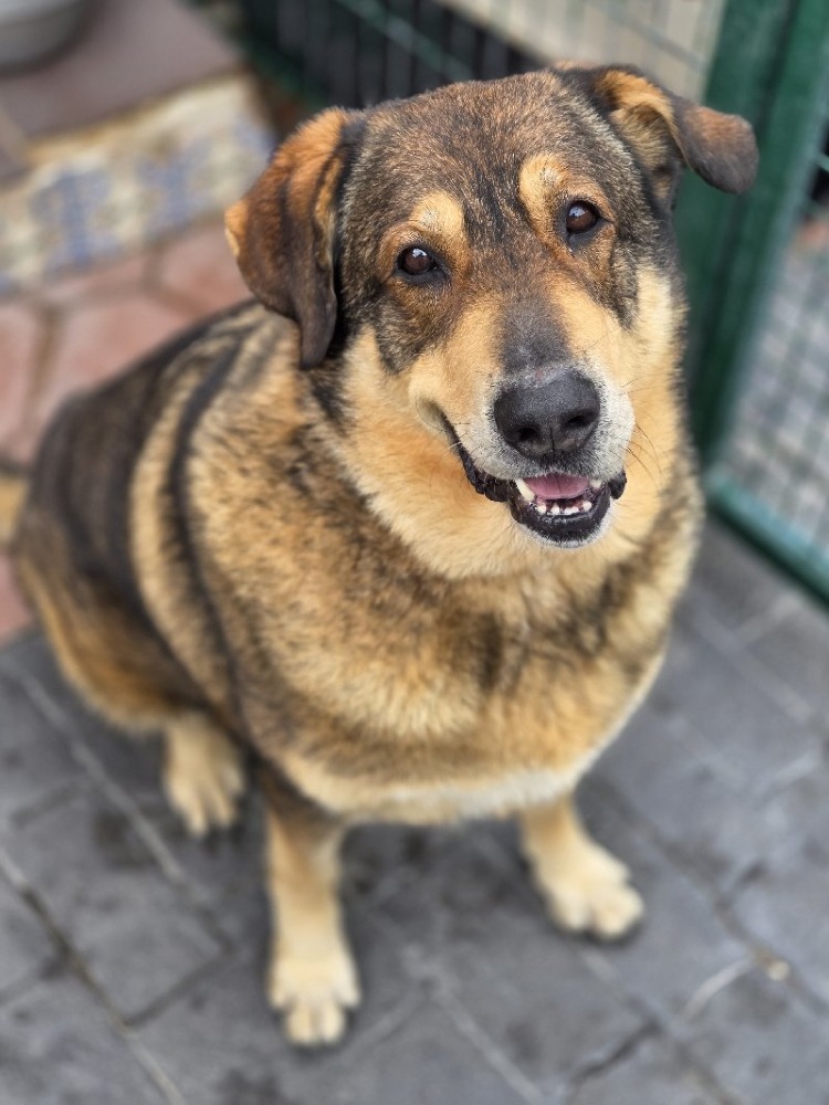 Chico