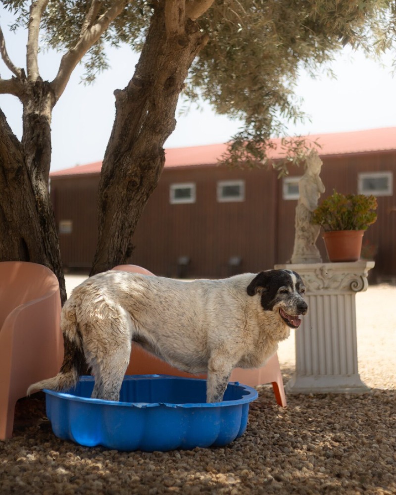 Clarinha