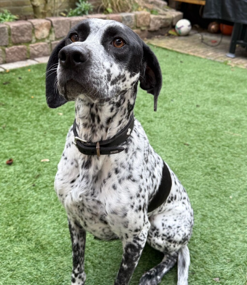 Kaya